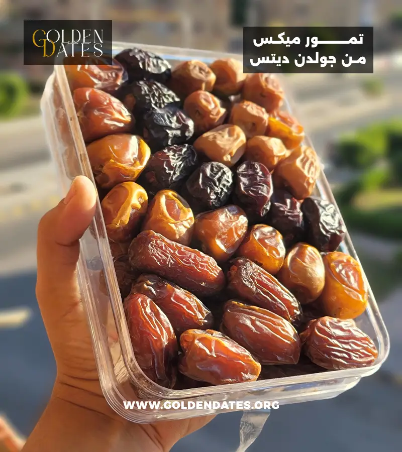 46_Mix Dates علبة 1 كيلو ميكس تمور سعودية من جولدن ديتس - Mix Saudi dates from Golden dates