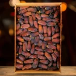 مبروم المدينة