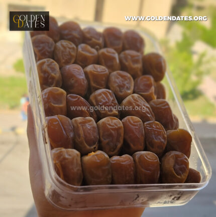 Luxury golden box of Sukari royal dates – رطب سكري ملكي فاخر